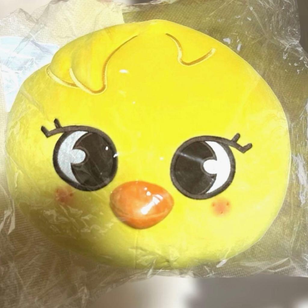 [USED] SKZOO PLUSH CUSHION Pogari FELIX Felix Piri