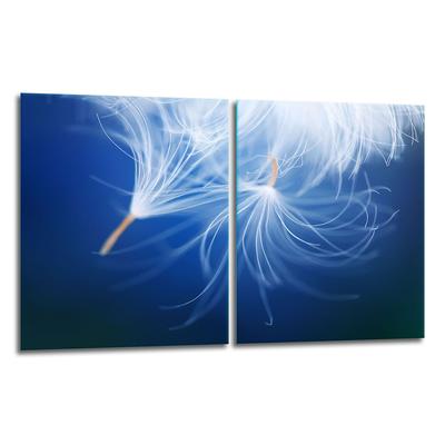 2x GLASS PROTECTIVE PLATE FOR STOVE 40x52 FLOWER