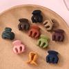 Clips Elegant pentru Păr Culoare Morandi: Accesoriu versatil pentru păr pentru femei