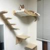 Cat Wall Hiding House Hammock Climbing Shelves Moon Perches Bed Ladder Solid Wood Steps For Activity Indoor Cats Wall Furniture
