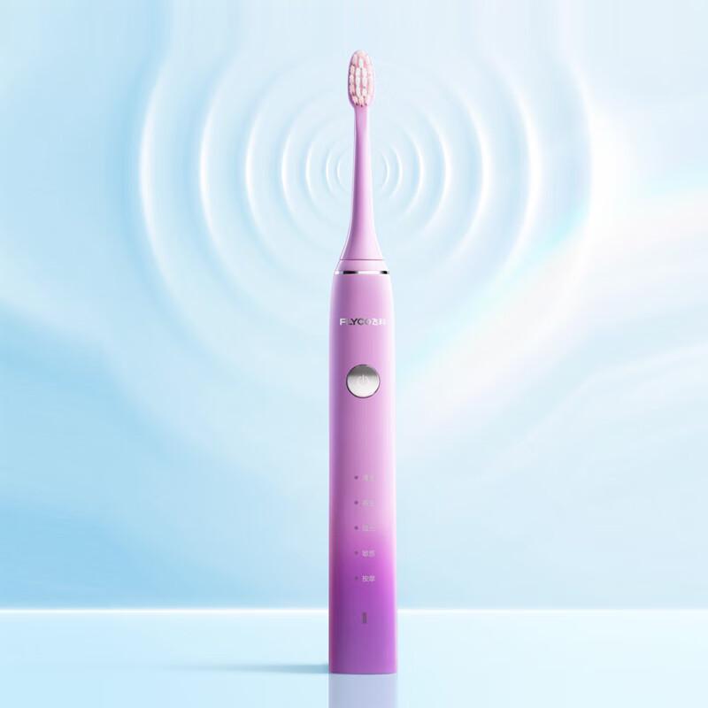 

FLYCO Rechargeable Sonic Electric Toothbrush