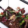 Artificial Branch for Reptiles Tanks Flexible and Safe Decoration Comfortable Environment Plant Vine with Suction Cup