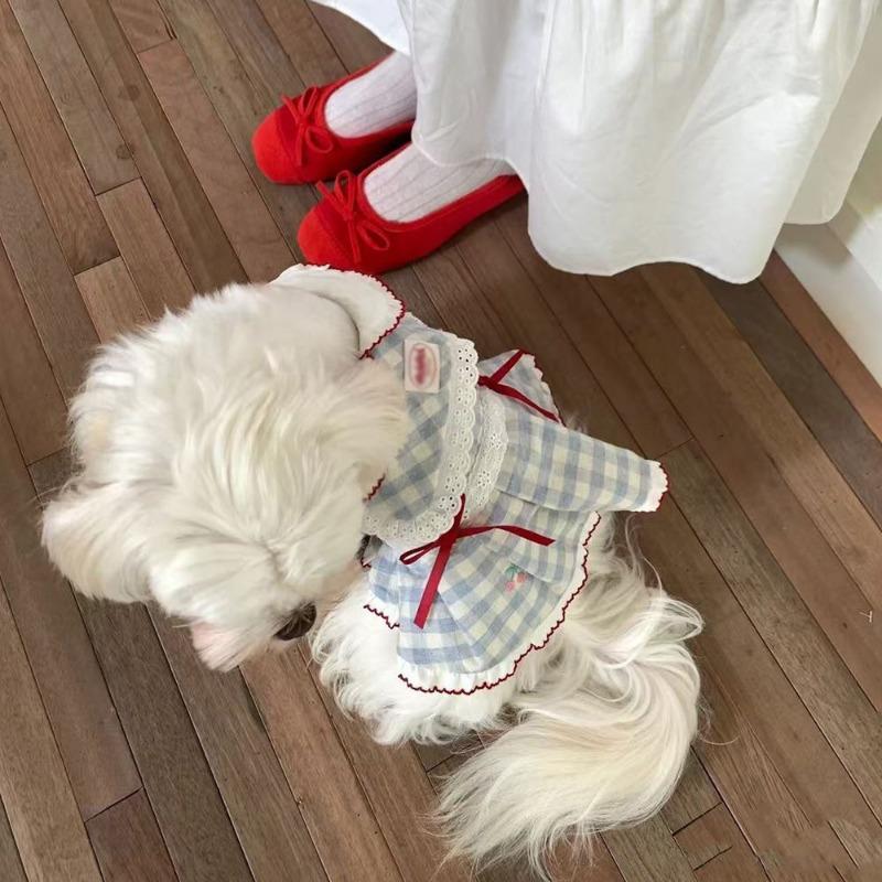 

Pet clothes small dog cat clothes cute princess dress bow cute dopamine super cute skirt XS chest 30 back 20 about 2-1.5kg
