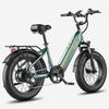 Electric Bicycle Fafrees F20 Rover 20" 250W Motor 48V 20AH Dual Hydraulic Disc Brakes Top Speed 25km/h LCD Display 7 Speed Max Load 150Kg