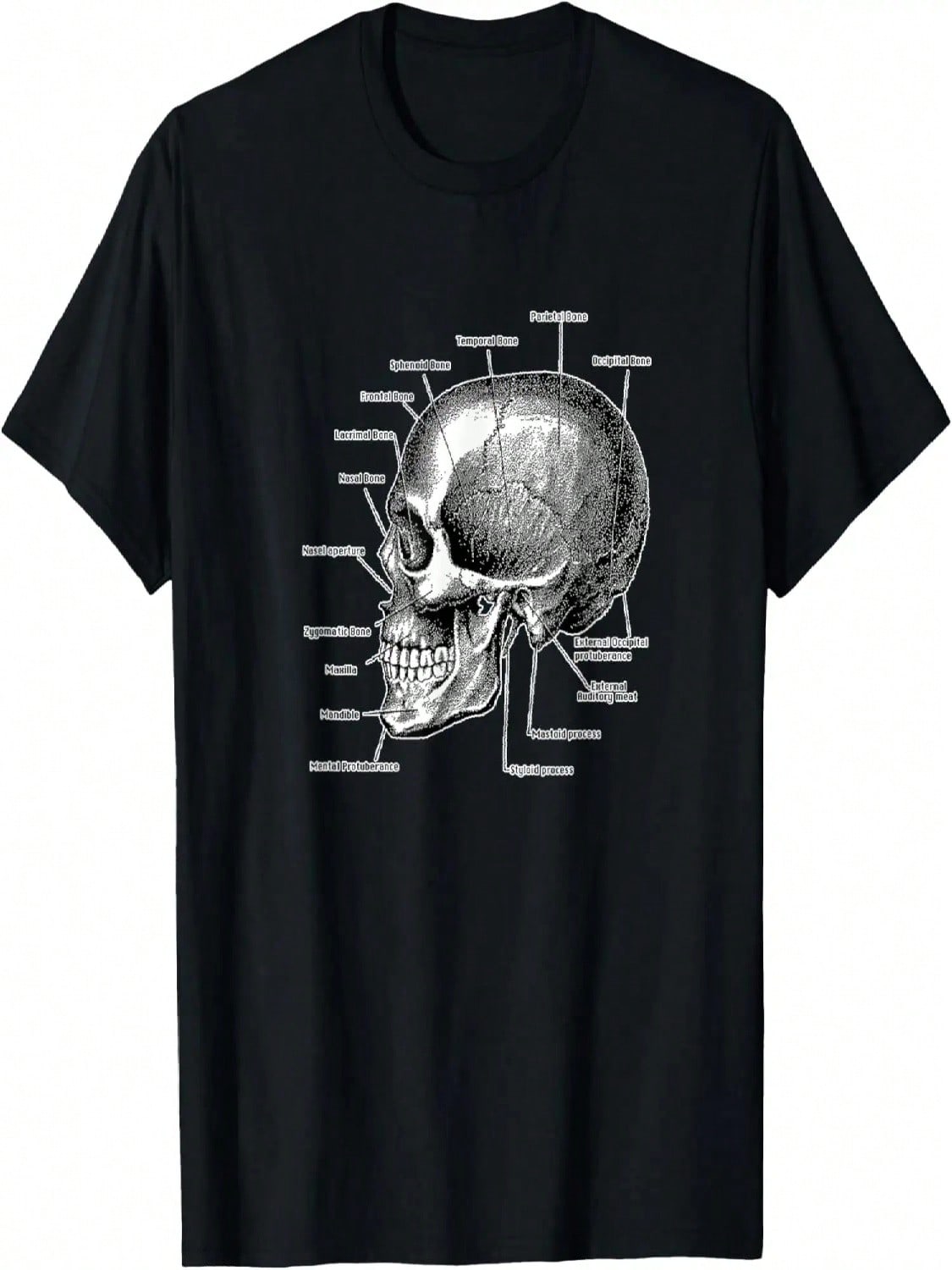 Skull Anatomy Science T-Shirt S разноцветный