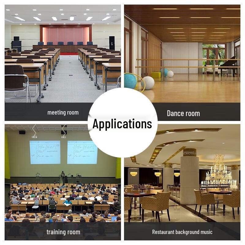 SHILE BX-503 8-inch Wall-Mount KTV Speaker Pair