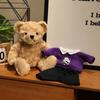Trendy Plush Teddy Bear in Hoodie: Formal Wear Cloth Doll Ornament