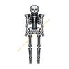 255cm Halloween Skeleton Balloon Quick Inflation Design Party Decoration Supplie 55KF