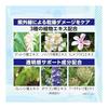 Berushio BB Foundation Protect UV TB 40g Natural Beige / SPF50+ PA++++ 6 In 1 Product (Beauty Serum, Makeup Base, Sunscreen, Foundation, Concealer,