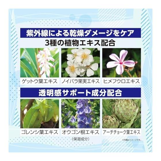 Berushio BB Foundation Protect UV TB 40g Natural Beige / SPF50+ PA++++ 6 In 1 Product (Beauty Serum, Makeup Base, Sunscreen, Foundation, Concealer,