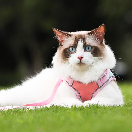 Cat Harness And Leash Escape-Proof Cat Harness with Reflective Strips Adjustable Step-in Harness for Small Medium Cats