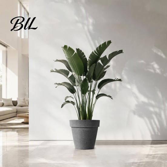 Large Resin Flower Pots for Indoor Plants Round Planter with Drainage Hole, 12 Inch Dia Stone-Look Sturdy Backyard Landscaping Pot, Modern Minimalist