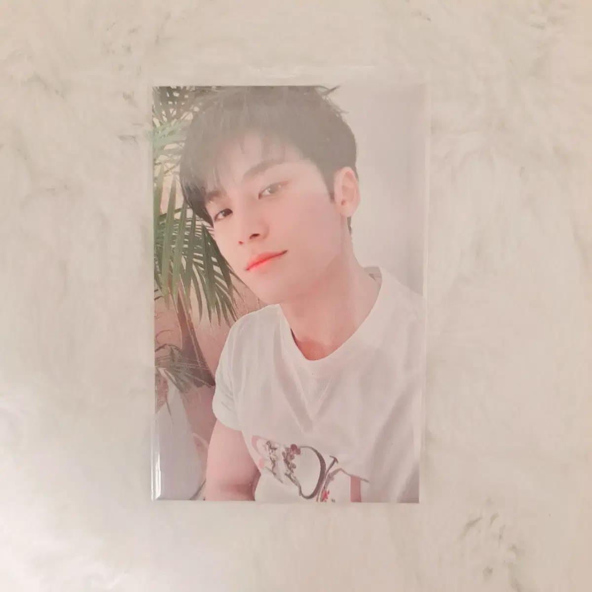 

Seventeen Your Choice Apple Music Minkyu Foca