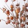 Plastic Artificial Pomegranate Branch 8 Fruit Foam Fruits Branches  Chinese New Year Decor