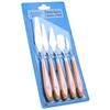 Acrylic & Oil Paint Mixing Knife Set - Palette & Scraper Tools for Art Painting