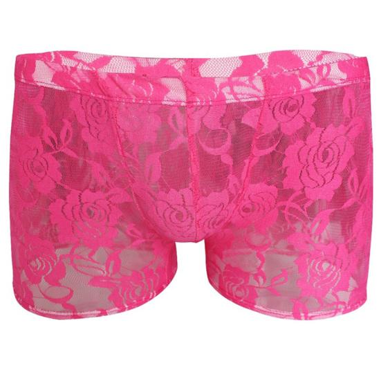 Men Hollow Lace Mesh See Through Underwear Panties
