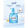 Blue Moon Aloe & Wild Chrysanthemum Disinfecting Hand Wash Set
