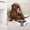 Slow Feeder Dog Bowl Insert Silicone Insert for Pets Slow Feeding Bowl Slows Eating Prevents Overeating Aids Digestion