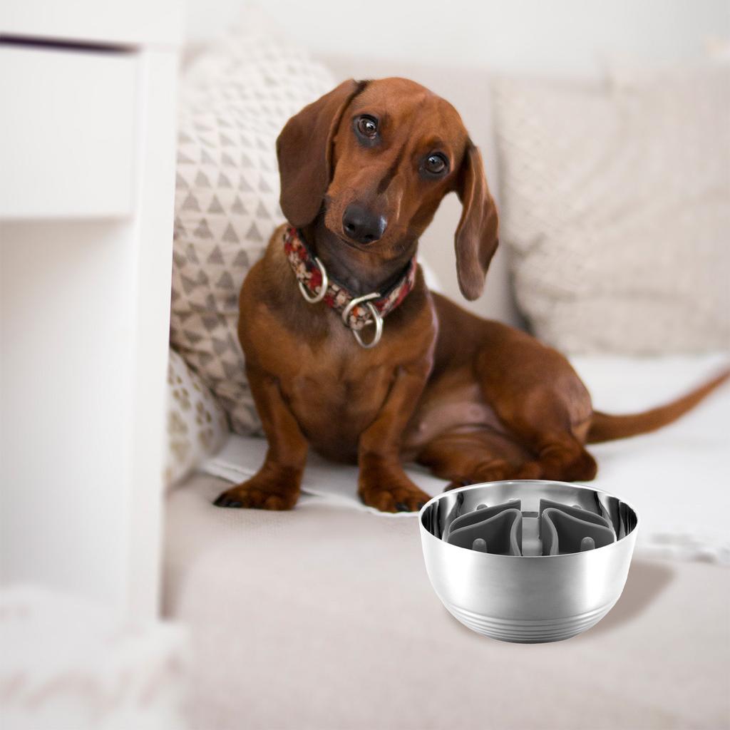 Slow Feeder Dog Bowl Insert Silicone Insert for Pets Slow Feeding Bowl Slows Eating Prevents Overeating Aids Digestion