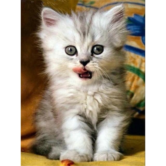 DIY 5D Diamond Painting Fluffy Kitty Diamond Mosaic Cross Stitch Kits Home Decoration Full Round Diamond Embroidery