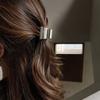 Simple All-match Korean Female Girls Hair Clip Metal Hair Claw Hair Accessories Grasping Clip