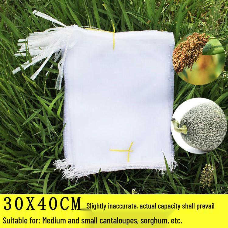 

Сетка-мешок для защиты фруктовых деревьев от насекомых и птиц для винограда, инжира, гуавы, клубники, персиков Mesh Net