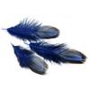 50Pcs 4-8cm Rare Precious DIY Wedding Party Decorative Multi-colour Pheasant Plume Feather Natural Feathers for Home Decoration