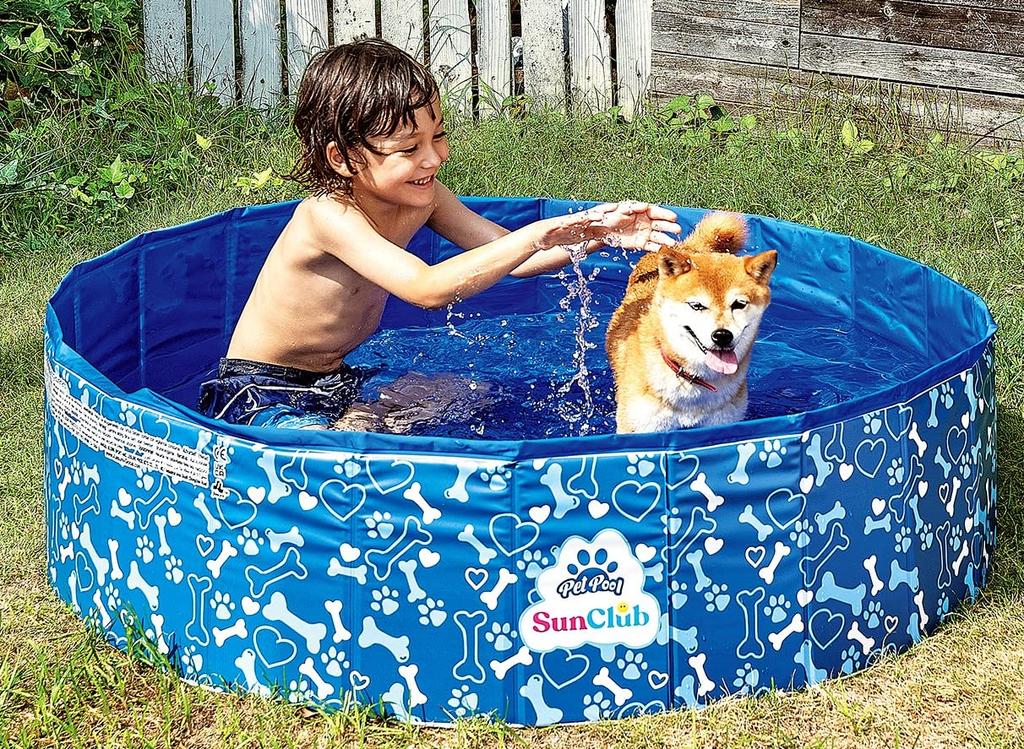 JILONG Folding Pool for Pets, 120 X 120 X 30 Cm with Drain Plug, JL-685436 BL, Medium Size