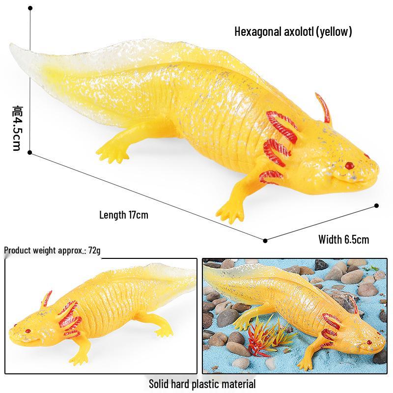 Ancient Marine Life Model: Trilobite, Eurypterid, Pikaia, Sea Scorpion, Nautilus Toy