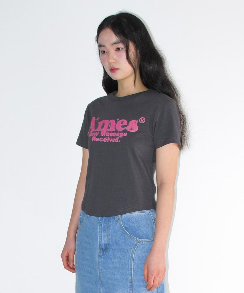 AMES-WORLDWIDE Round Hem Crop Tee Charcoal