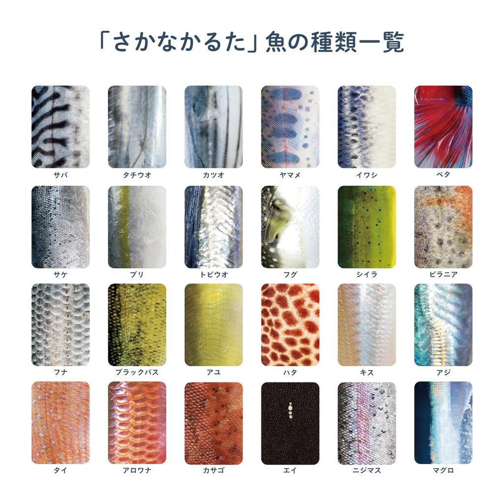 [Official] First Edition Fish Karuta by Gamot Lab, Karuta Card Game, Bath Scales, Chiba Printing, Birthday Gift, Kids Toy, Educational Toy, Camping