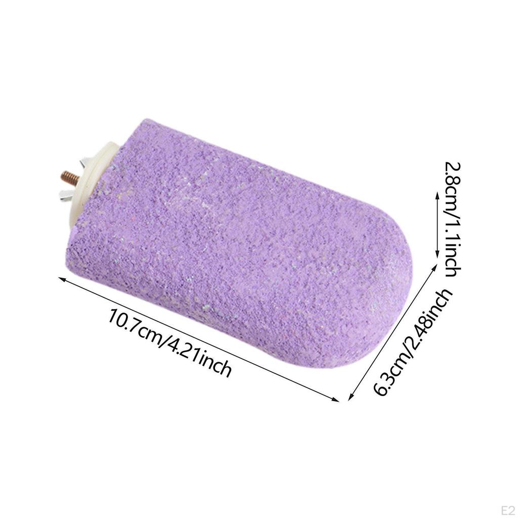 Bird Perch Beak Grinding Stand Cage Accessories Easy to Install Parrot Stand, Trimmer for Training