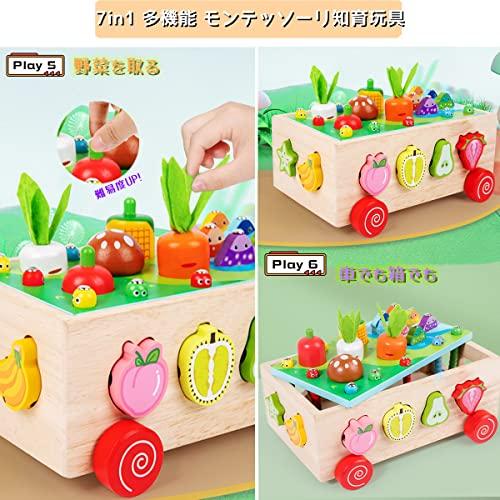 Bajoy 7-in-1 Montessori Educational Toy, Shape Matching, Finger Fishing Toy, Stringing, and Playtime Toy. Multifunctional Wooden Educational Toy. Grea