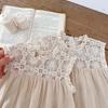 Infant Girls' Seersucker Ruffle Lace Sleeveless Dress