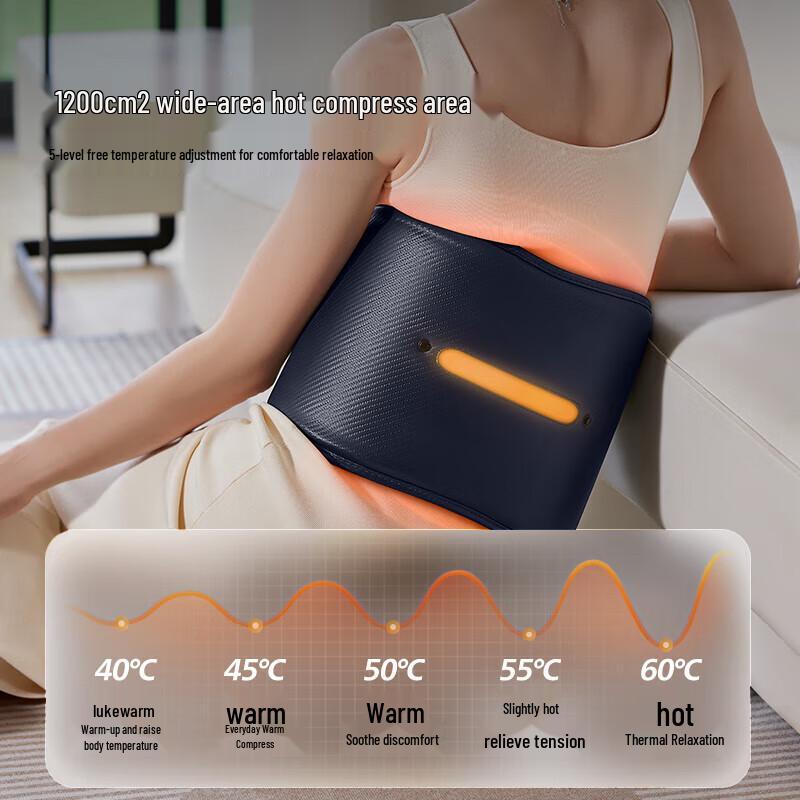 Philips Heated Lumbar Massager Belt CN plug (adapter included)