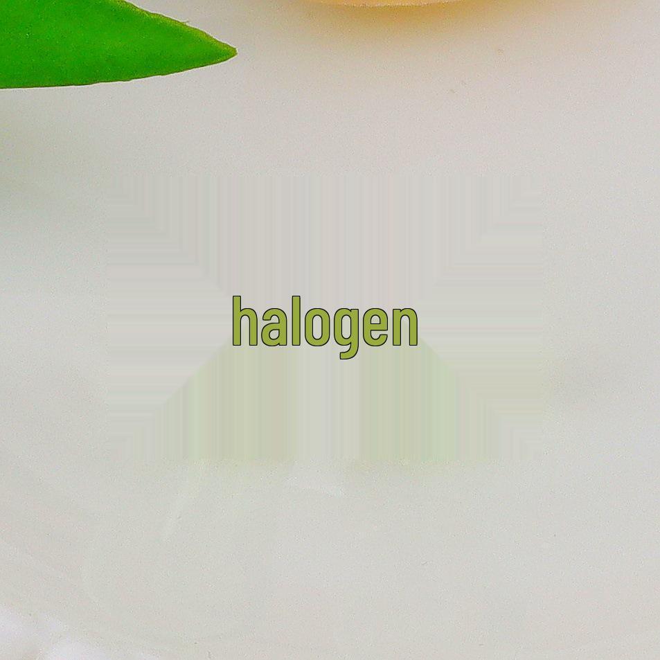 European & American Classic Gold Plated Macaron Color Earrings – Versatile Fashion Accessory