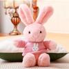 Cute Sweater Rabbit Doll Dress Rabbit Plush Toy Scarf Rabbit Claw Doll Wedding Gift