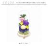 Glass Dome for Offerings Glass Dome Sachi