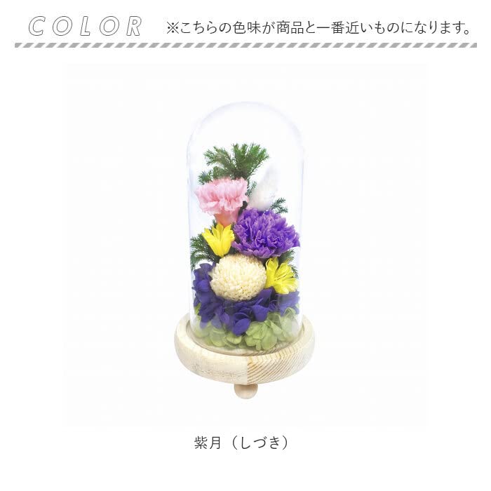 Glass Dome for Offerings Glass Dome Sachi