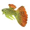 Plastic Swimming Faux Fake Gold Fish Aquarium Fish Tank Decor Orname Gift