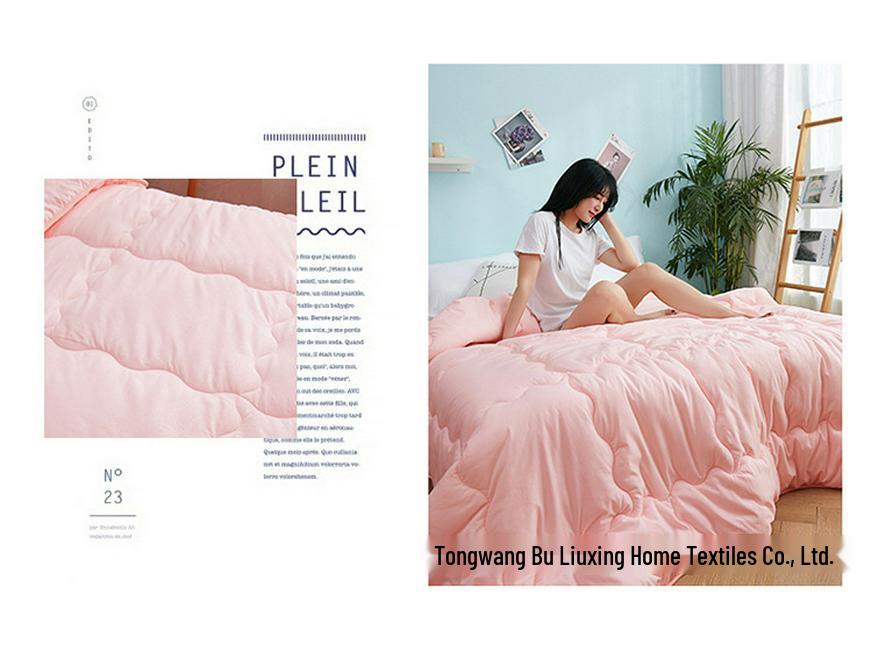 Brushed Comforter: Thickened Silk Cotton Quilt for All Seasons