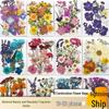Natural Dried Flowers for DIY: Real Flower Specimens, Dried Roses & Leaves for Creative Handmade Epoxy Resin Projects