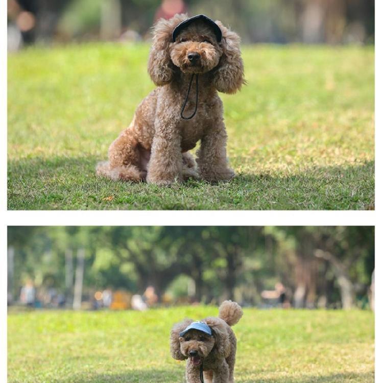 Fashion Pet Hat For Small to Large Dog Adjustable Cord Sunproof Baseball Hat for Walking Hiking Outdoor Sport Activity