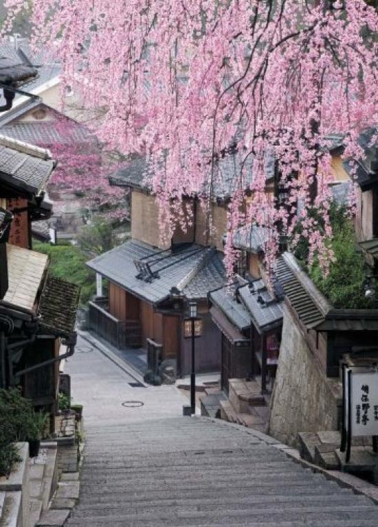 759 Small Piece Puzzle Master Weeping Cherry Blossoms and Sanneizaka Kyoto - (38x53cm)