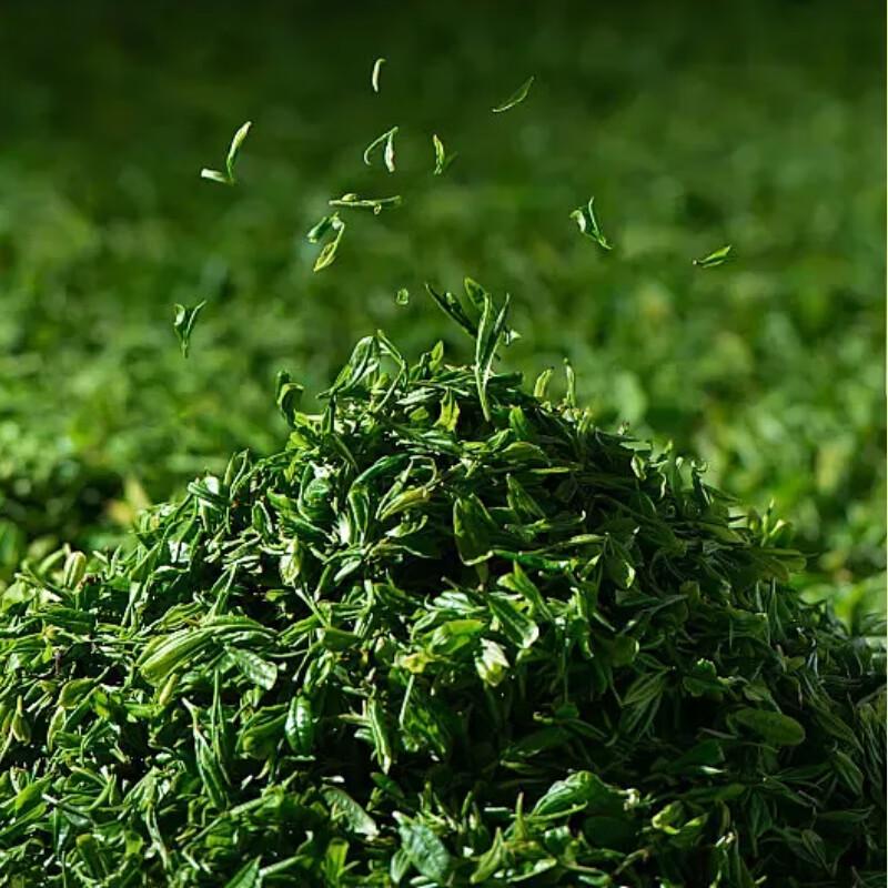 Guhong Green Tea