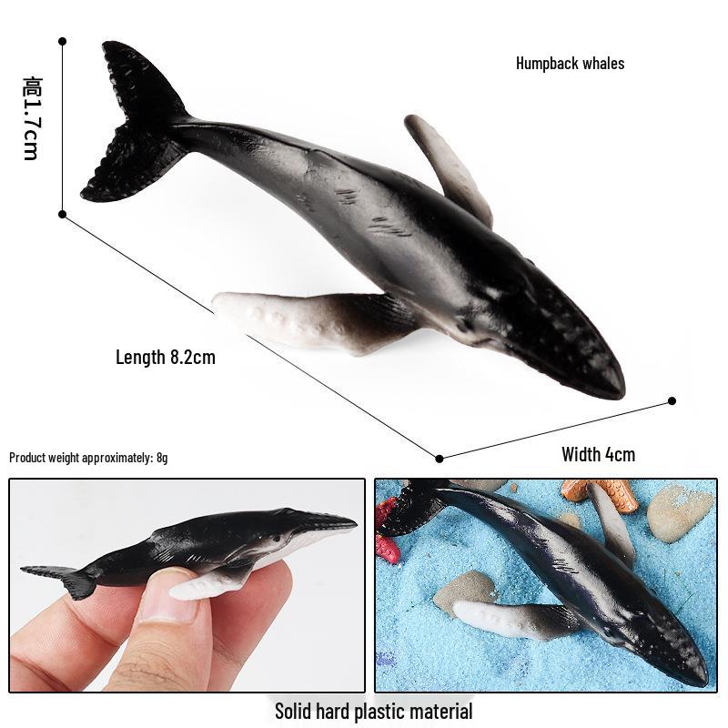 Children's Marine Animal Toy Set: Megalodon, Beluga, Octopus, Turtle, Dolphin & Manta Ray