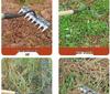 Multi-Functional Manganese Steel Weeding & Hoe Rake Tool
