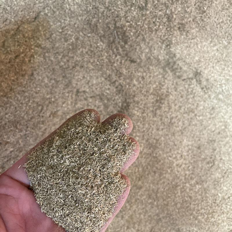 Katzenspielzeug mit Katzenminze 100% Natürliche Katzenminze Gras Menthol Katzenspielzeug Gesund Sicher Essbar Belohnung Interaktive Katze Ungiftige Zubehör