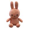 Morbido Peluche Coniglio Animale di Peluche Carino con Cotone PP Sicuro Abbracciabile Regalo di Compleanno per Bambine