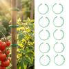 Adjustable Plant Fixing Buckles Reusable Plant Fixing Clips Plastic Plant Vine Clips Stem Support